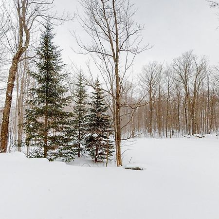 Jay Peak Village Home 367B Buitenkant foto