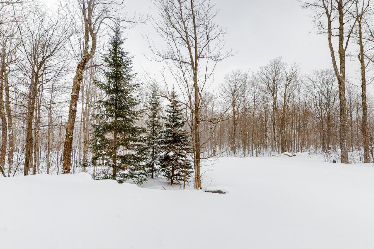 Jay Peak Village Home 367B Buitenkant foto